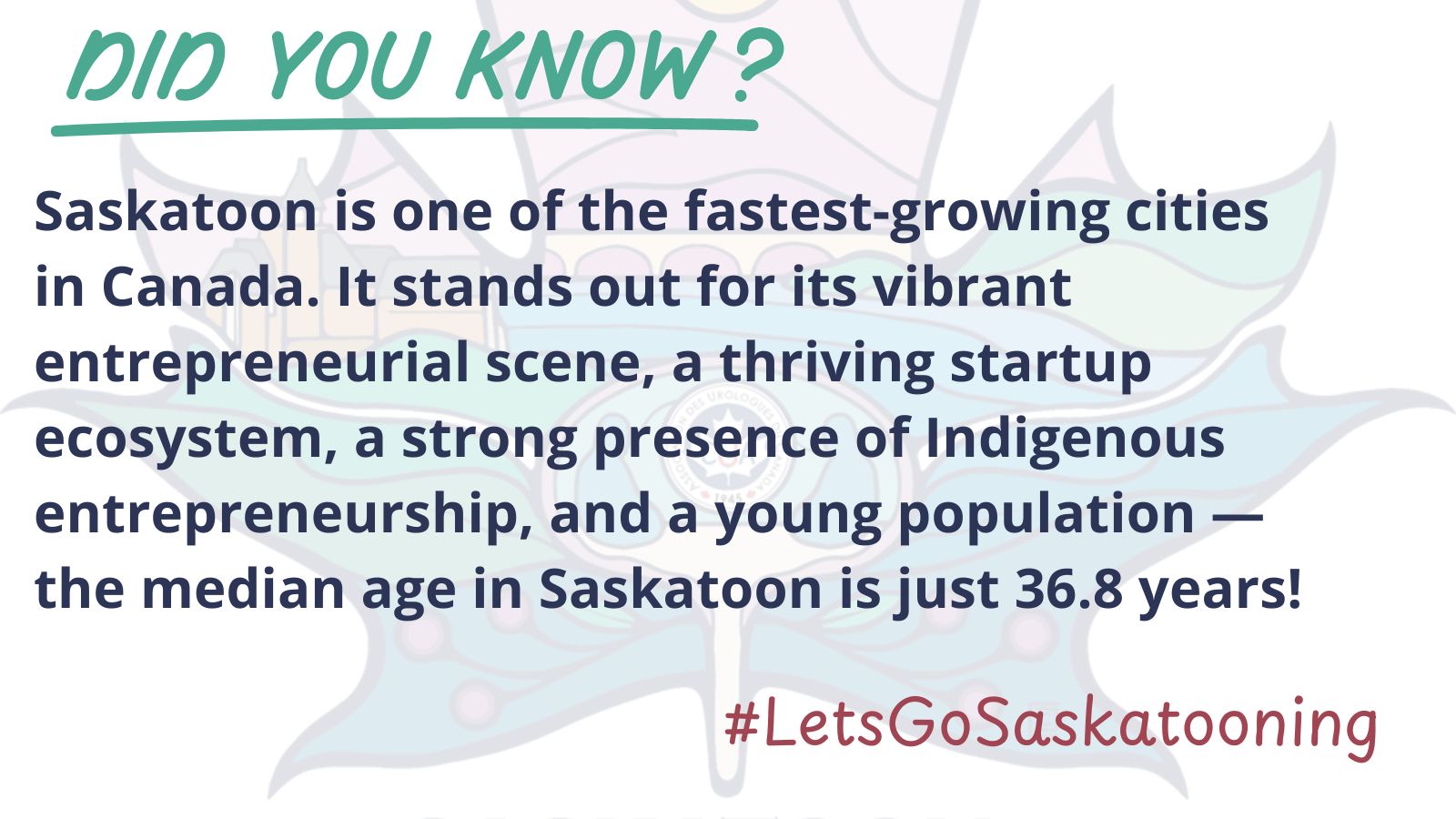 Saskatoon 12