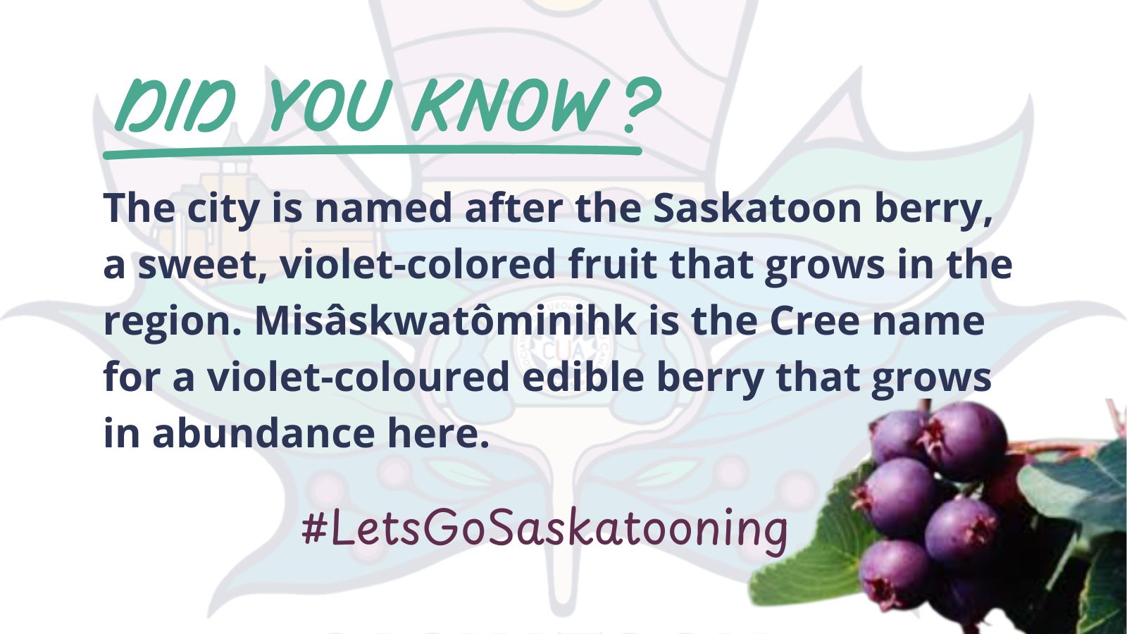 Saskatoon 2