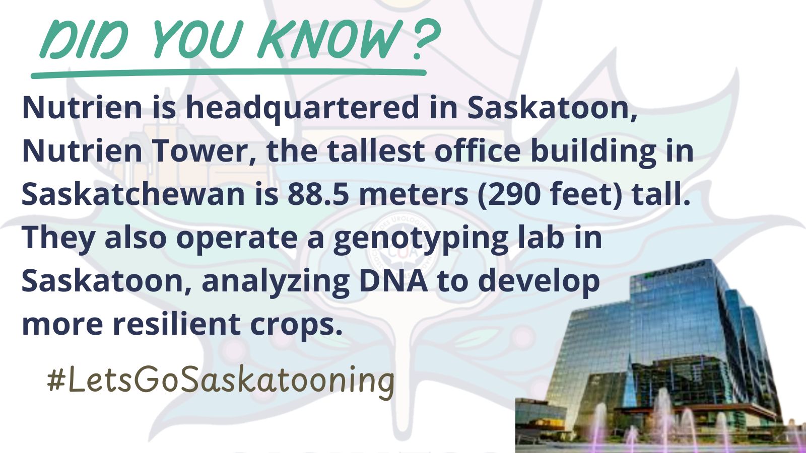 Saskatoon 4
