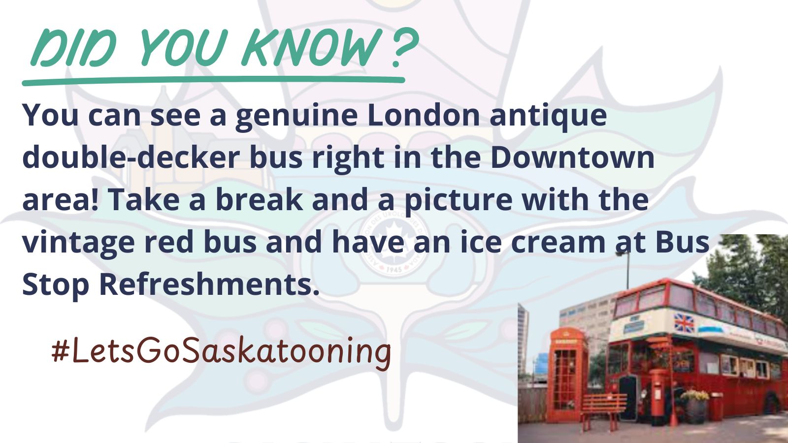 Saskatoon 6