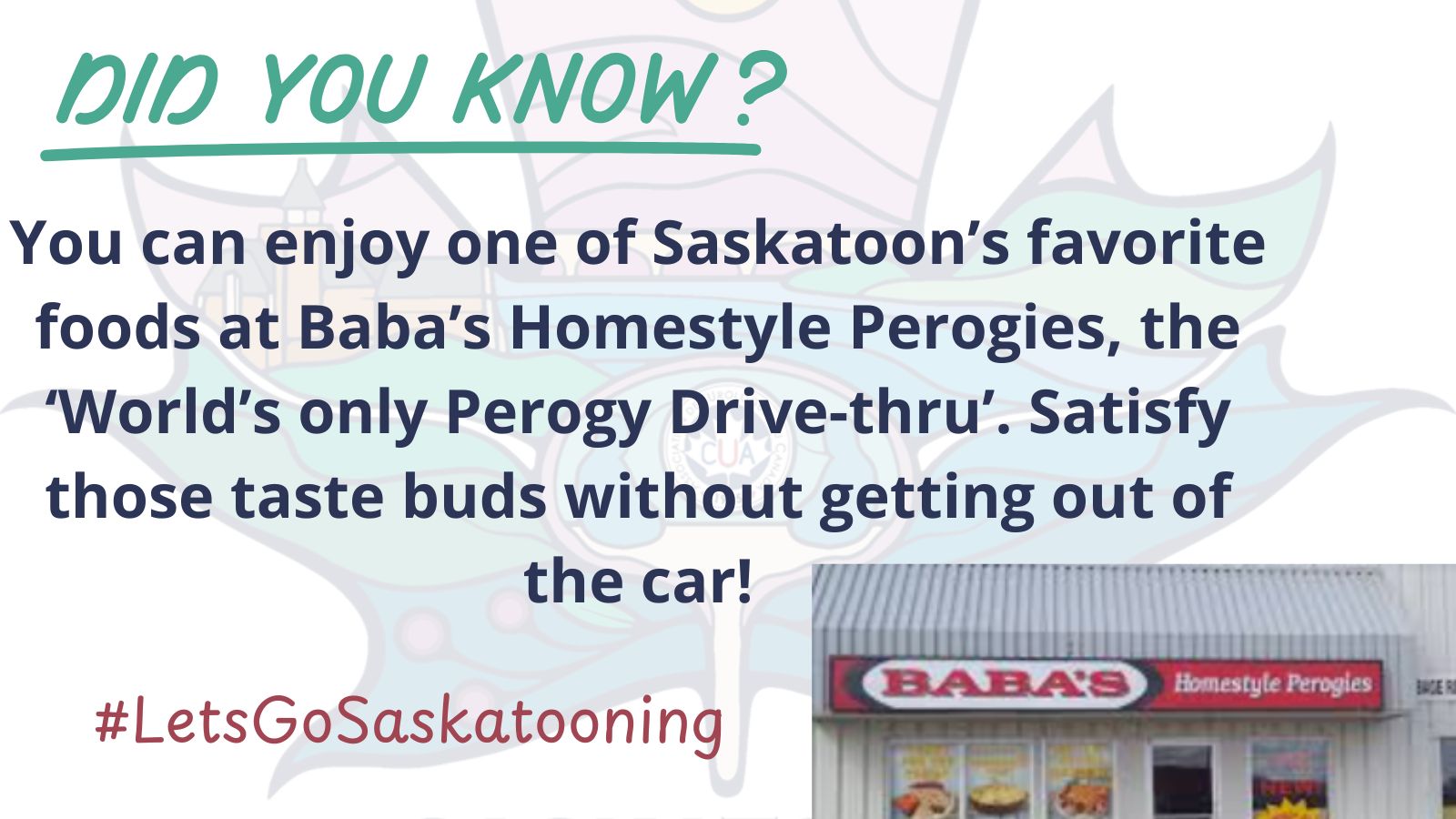 Saskatoon 7