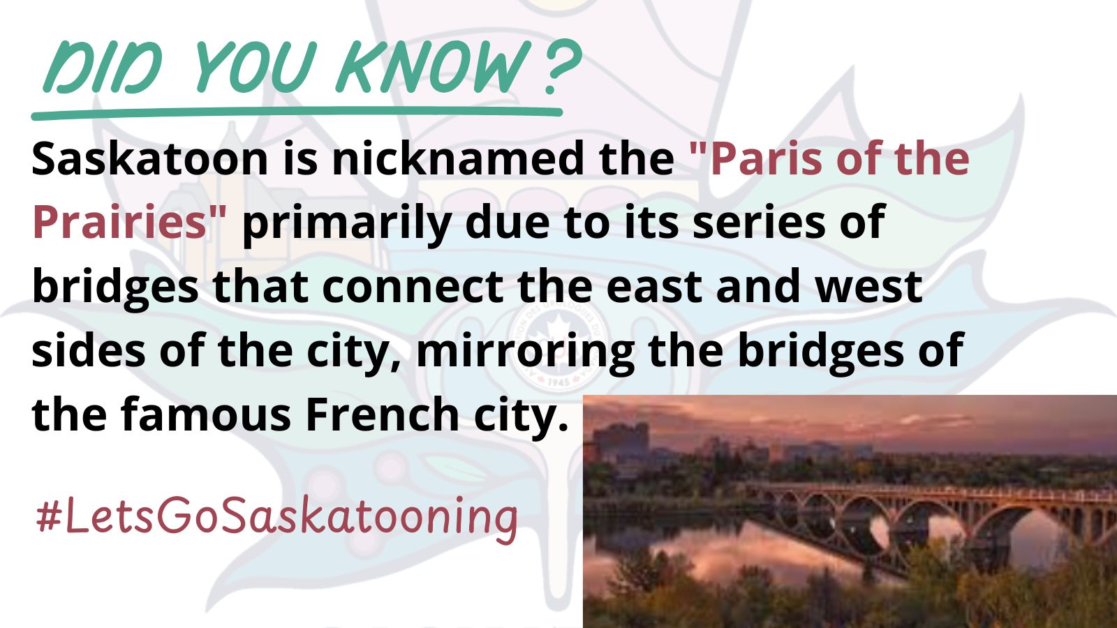Saskatoon 8